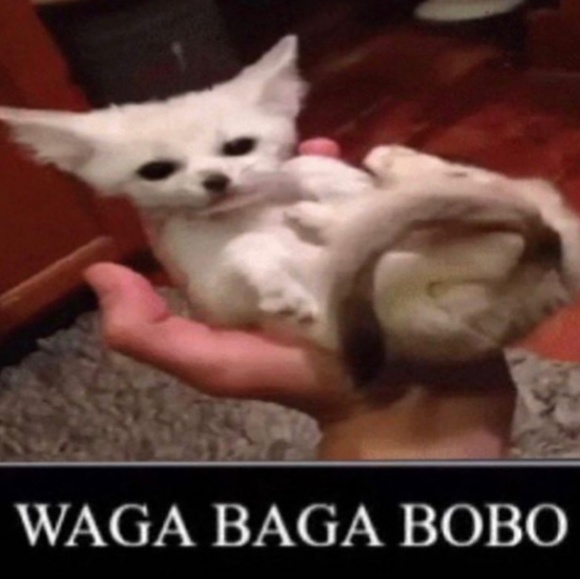 swaggaming